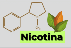 nicotina