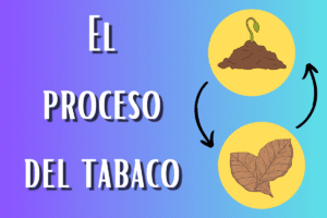 Portada de el proceso del tabaco