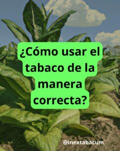 Cómo fumar tabaco
