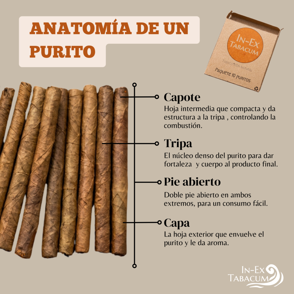 anatomía de un puro natural - In Ex Tabacum