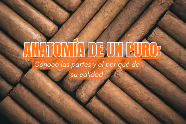 anatomía de un puro